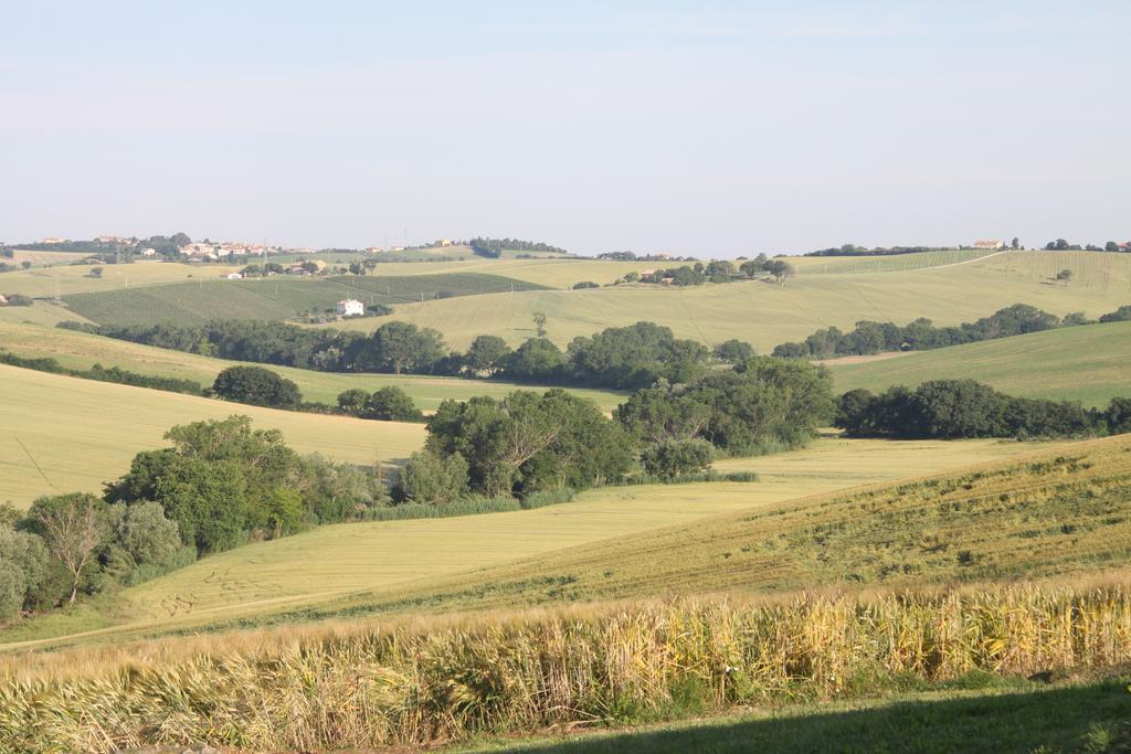 Bed & Breakfast Il Campetto 3*