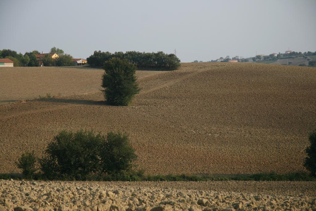 Il Campetto Bed & Breakfast 3*