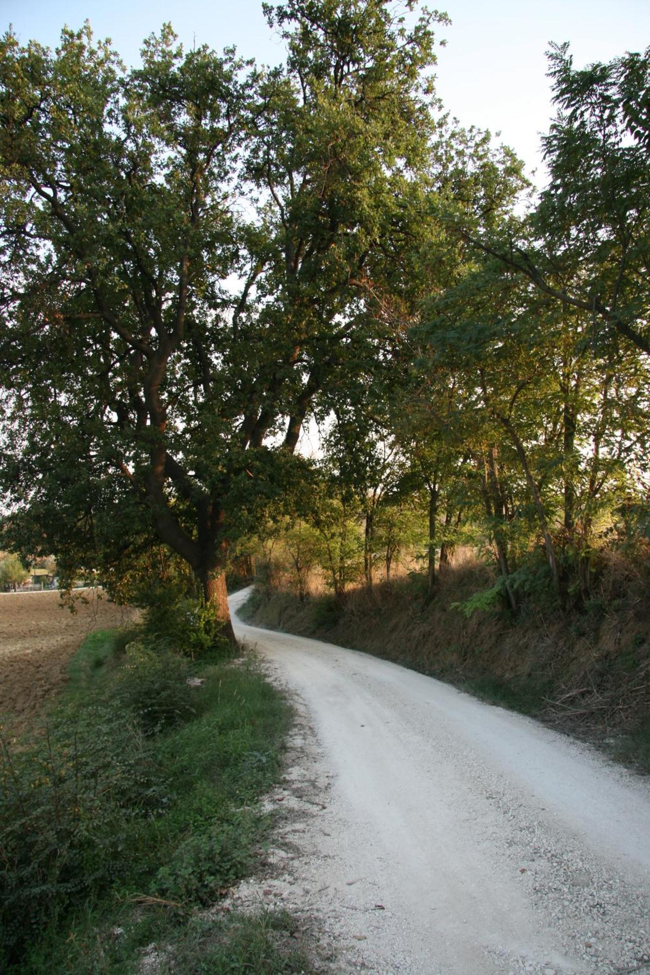 Il Campetto