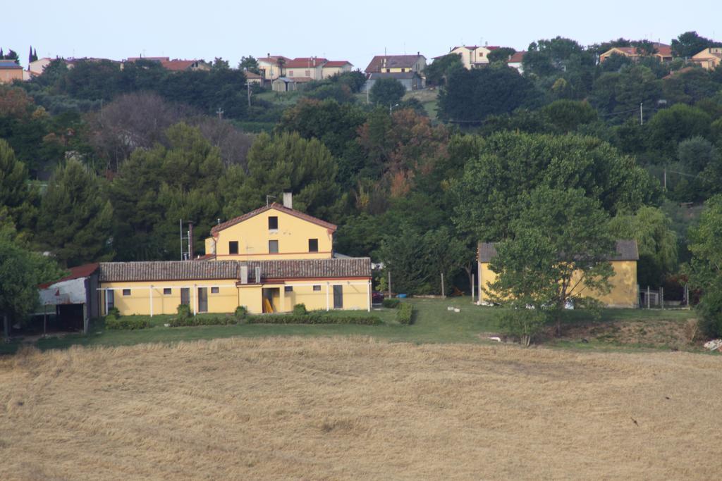 Il Campetto