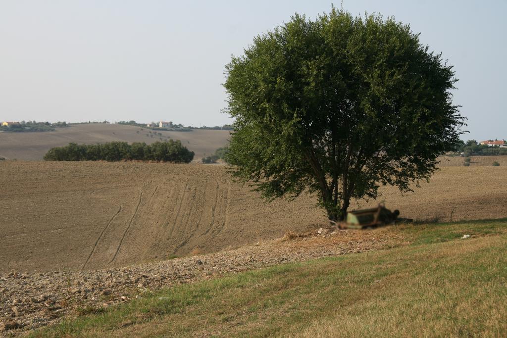 Il Campetto Senigália