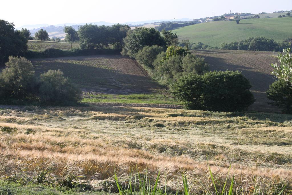 Il Campetto